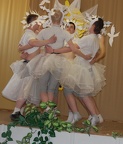 DSC 0203
