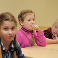 picture 28529
