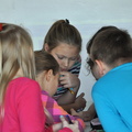 picture 287229